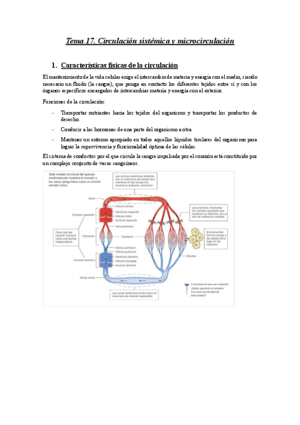 Miniatura del documento Apuntes-Tema-17.pdf