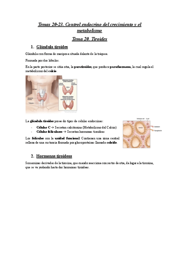 Miniatura del documento Apuntes-Temas-20-23.pdf