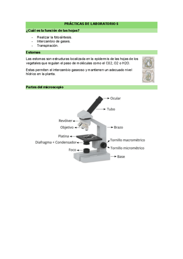 Miniatura del documento PRACTICAS-DE-LABORATORIO-5.pdf