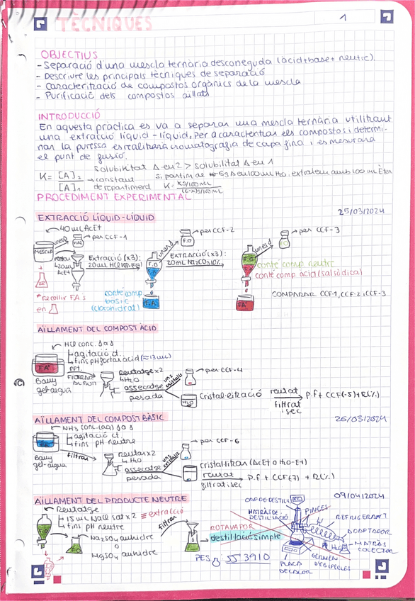 Miniatura del documento PROCEDIMENTS.pdf