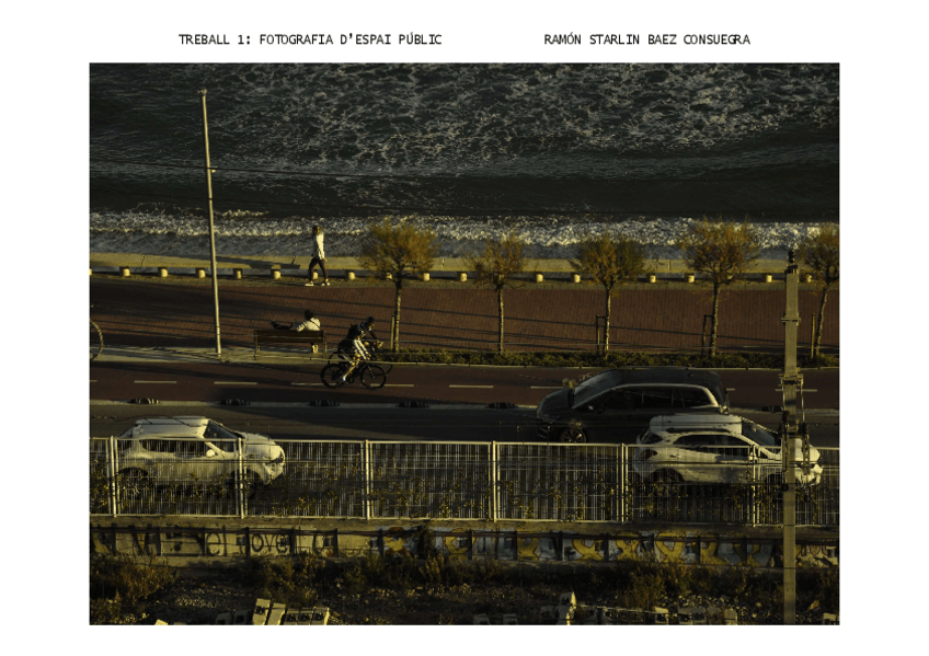 Miniatura del documento baezstarlinTREBALL-1-Fotografia-despai-public.pdf