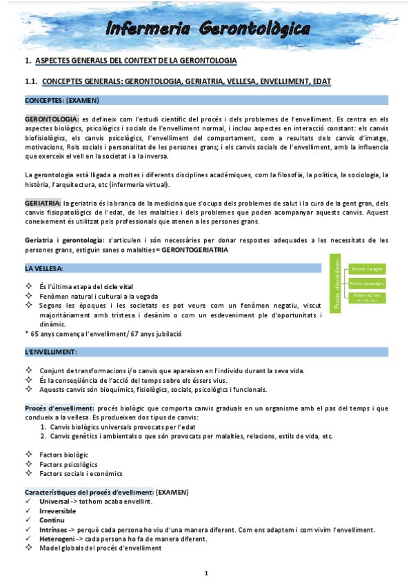 Miniatura del documento Apunts-Geronto.pdf