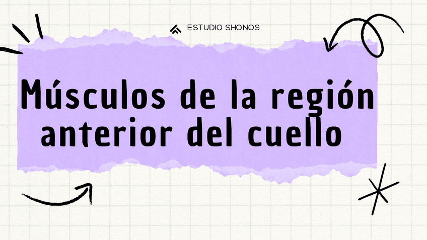 Miniatura del documento Los-musculos-de-la-region-anterior-del-ceullo.pdf
