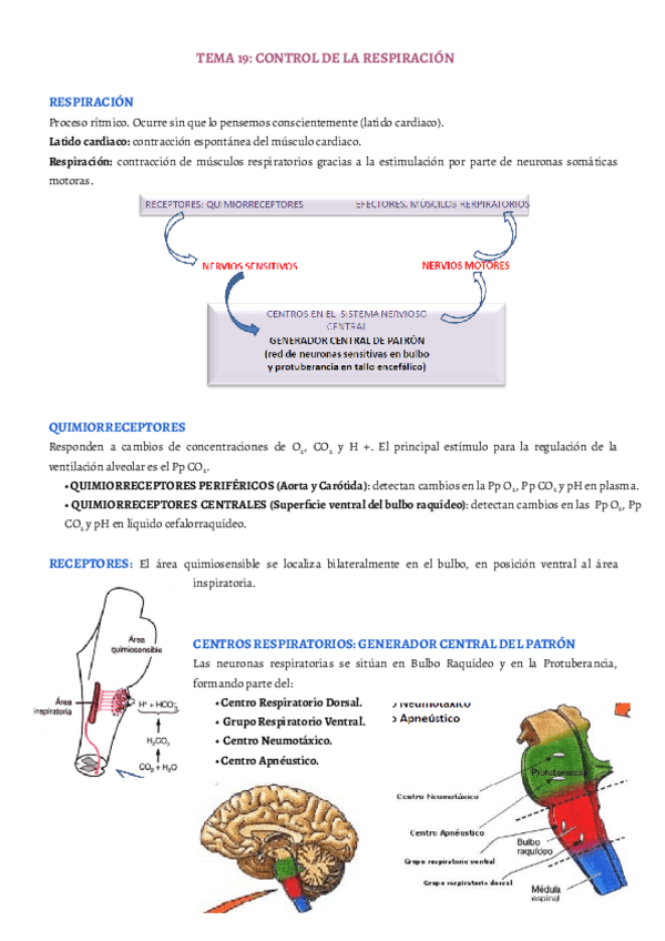 Miniatura del documento TEMA-19.pdf