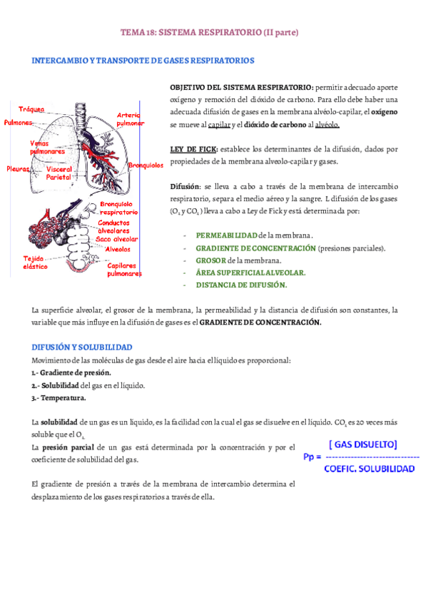 Miniatura del documento TEMA-18.pdf