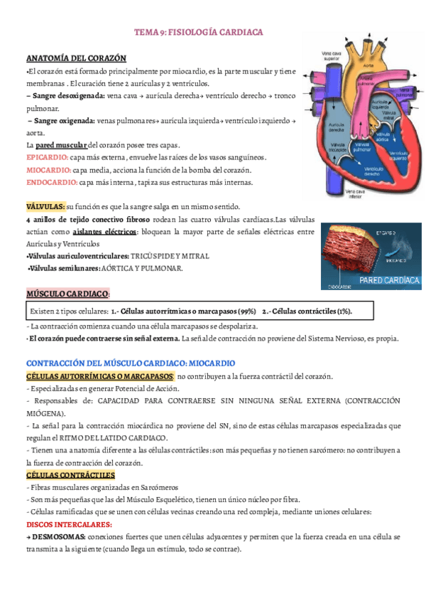 Miniatura del documento TEMA-9.pdf