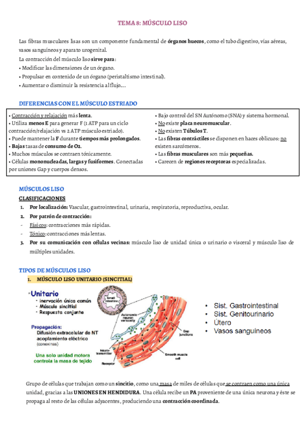 Miniatura del documento TEMA-8.pdf