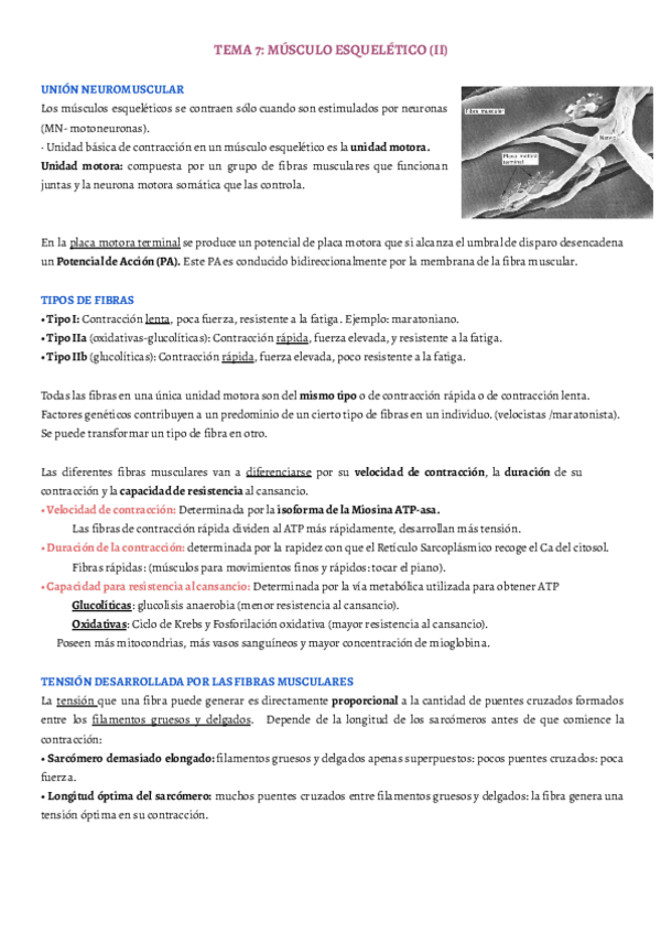 Miniatura del documento TEMA-7.pdf