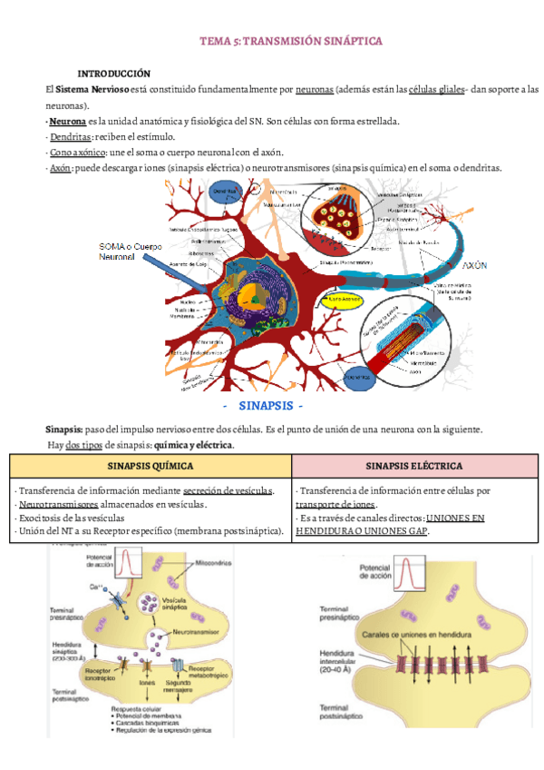 Miniatura del documento TEMA-5.pdf
