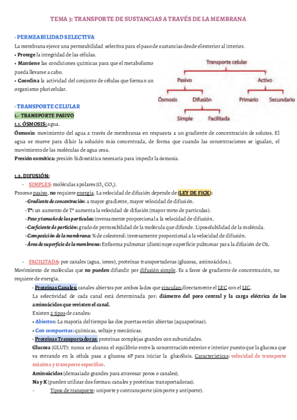 Miniatura del documento TEMA-3.pdf