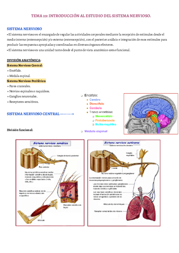Miniatura del documento TEMA-29.pdf