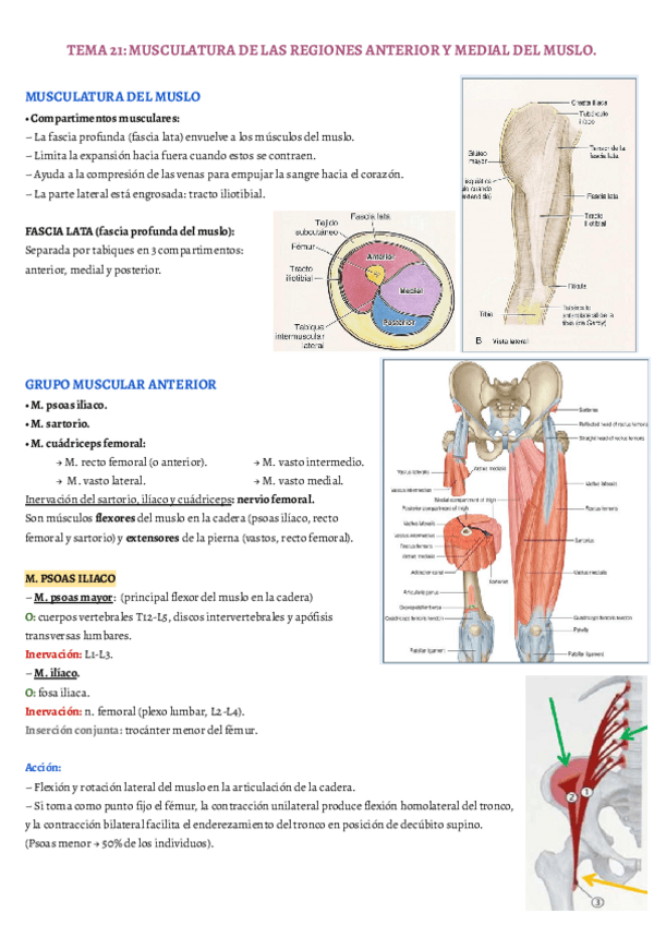 Miniatura del documento TEMA-21.pdf