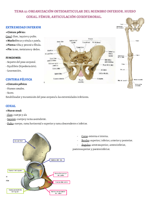Miniatura del documento TEMA-15.pdf