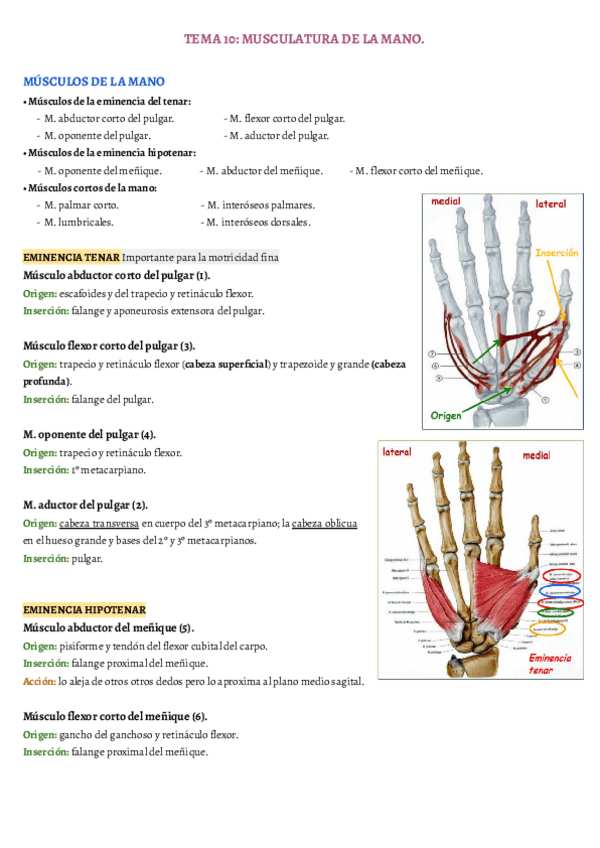 Miniatura del documento TEMA-10.pdf