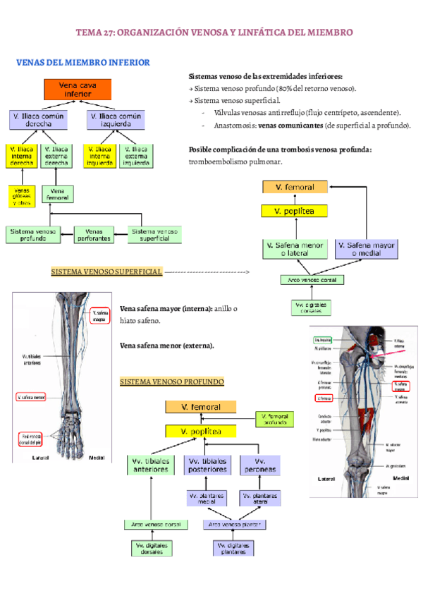Miniatura del documento TEMA-27.pdf