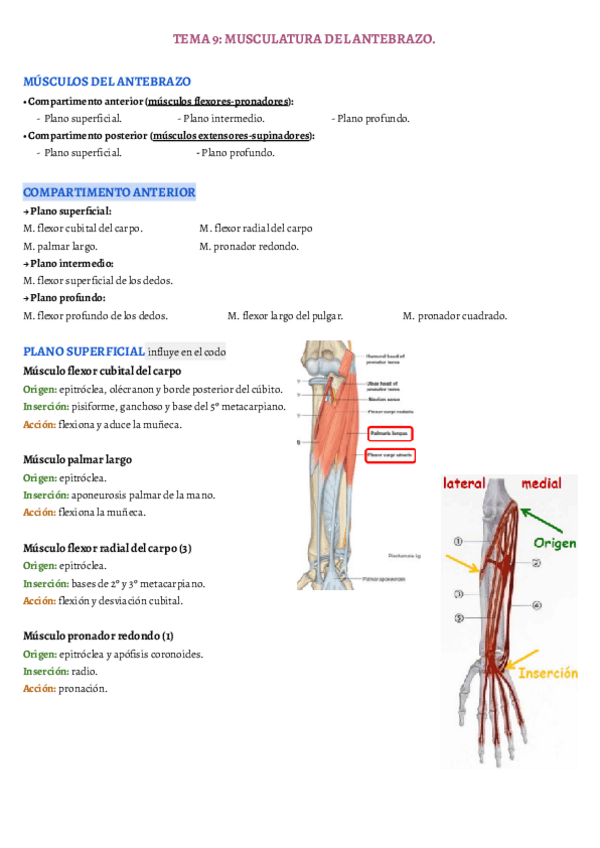 Miniatura del documento TEMA-9.pdf
