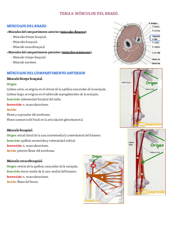 Miniatura del documento TEMA-8.pdf