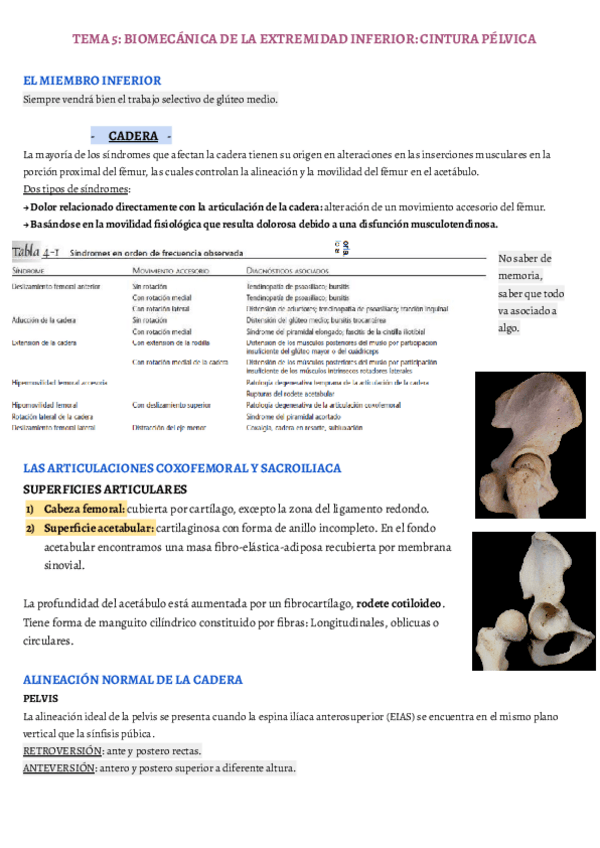 Miniatura del documento TEMA-5.pdf