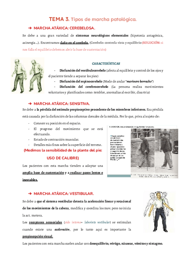 Miniatura del documento TEMA-3.pdf