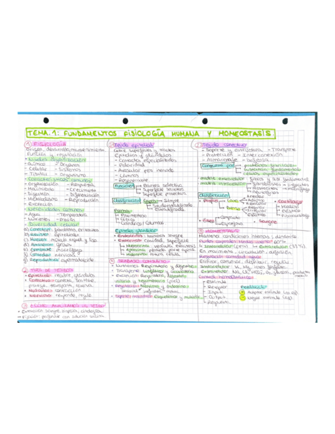 Miniatura del documento TEMA-1-IMPORTANTE-EXAMEN.pdf