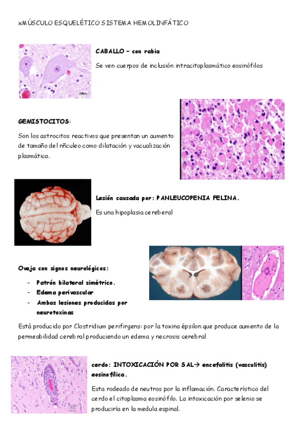 Miniatura del documento KAHOOT-4.pdf