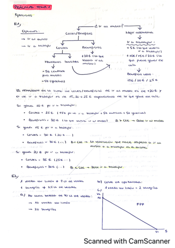 Miniatura del documento EJERCICIOS-Y-TEST-RESUELTOS-INTRO-I.pdf
