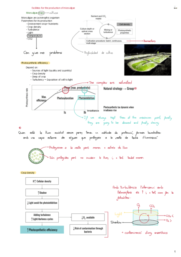 Miniatura del documento Tema-5-Facilities-for-the-production-of-microalgae.pdf