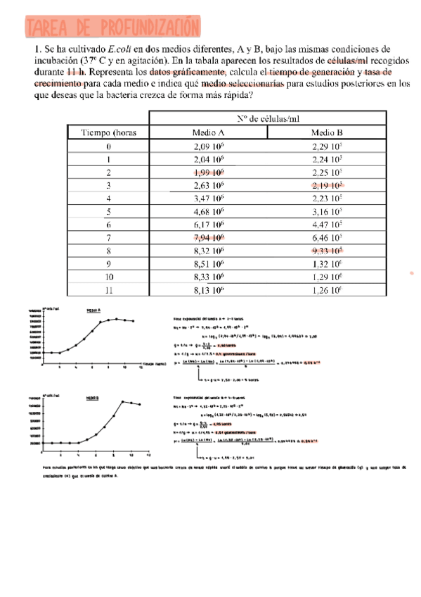 Miniatura del documento Tarea-De-Profundizacion-Extraordinaria.pdf