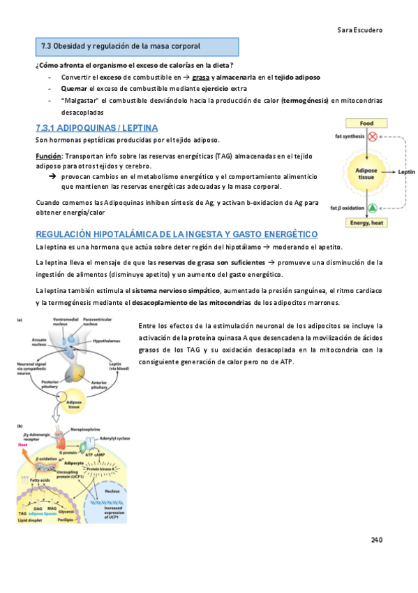 Miniatura del documento 7.3-Obesidad.pdf