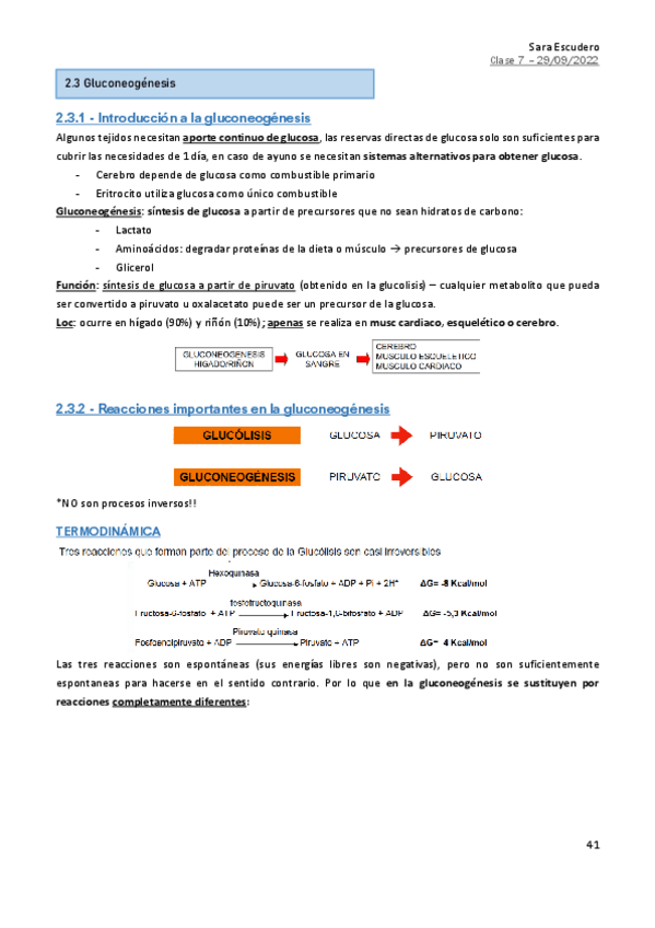 Miniatura del documento 2.3-Gluconeogenesis.pdf