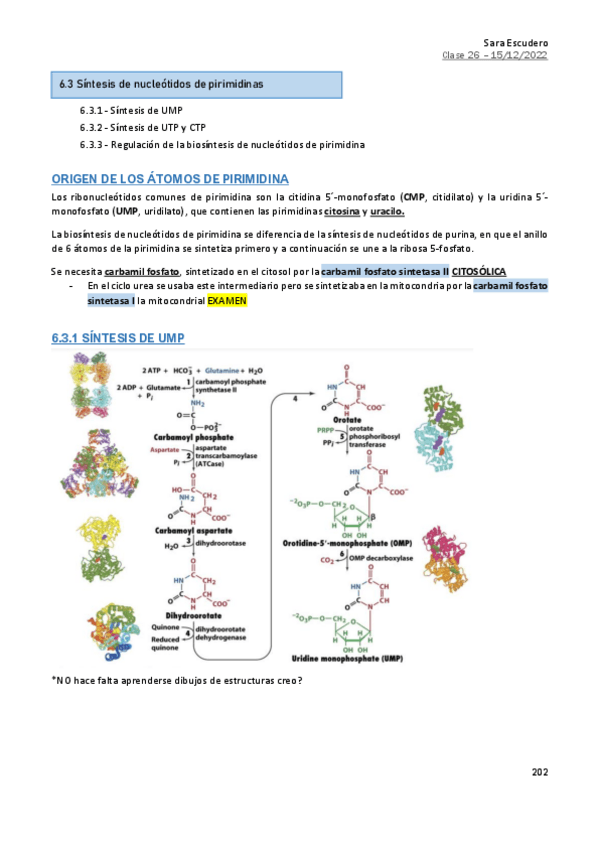 Miniatura del documento 6.3-Sintesis-pirimidinas.pdf