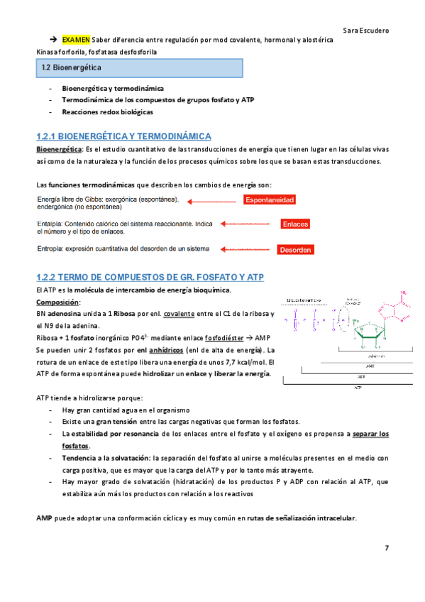 Miniatura del documento 1.2-Bioenergetica.pdf