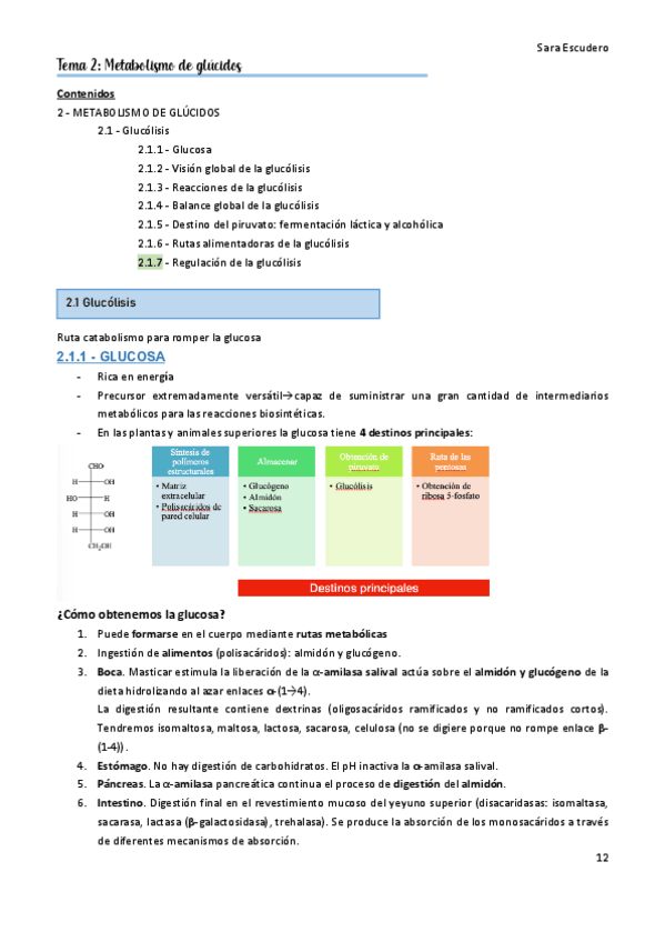 Miniatura del documento 2.1-Glucolisis.pdf