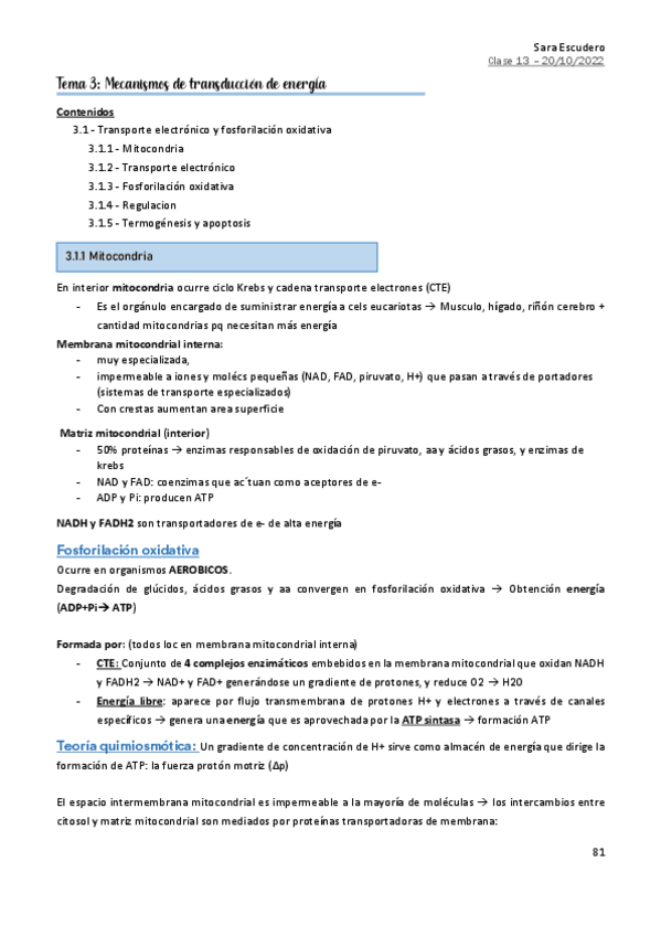Miniatura del documento 3-Oxphos.pdf