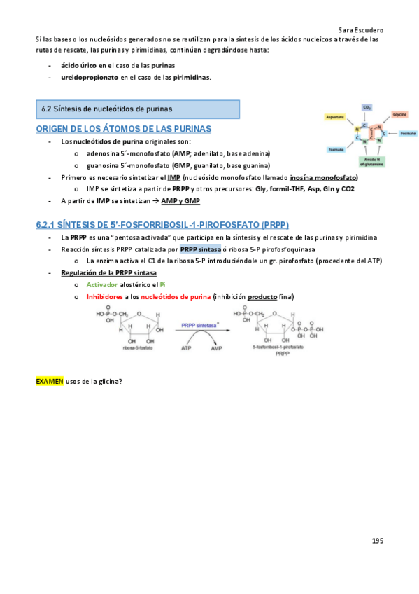 Miniatura del documento 6.2-Sintesis-purinas.pdf