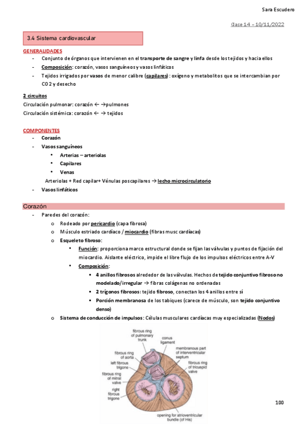 Miniatura del documento 3.4-Sist-cardiovascular.pdf