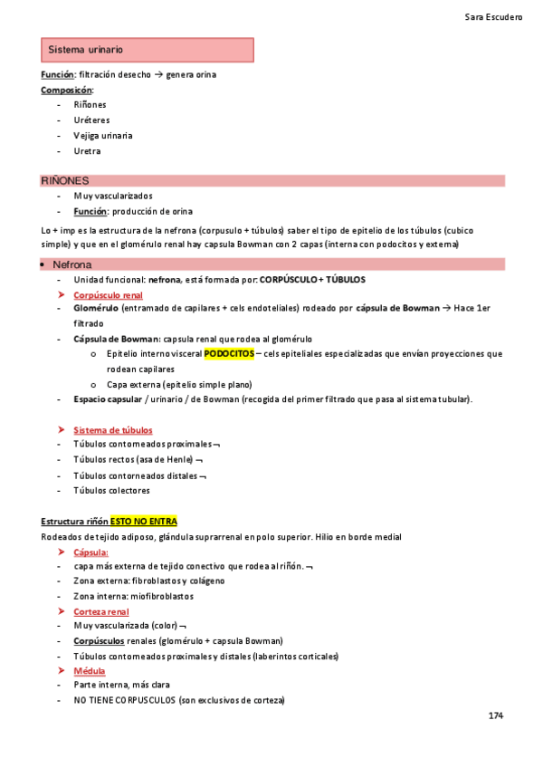 Miniatura del documento 3.8-Sist-urinario.pdf