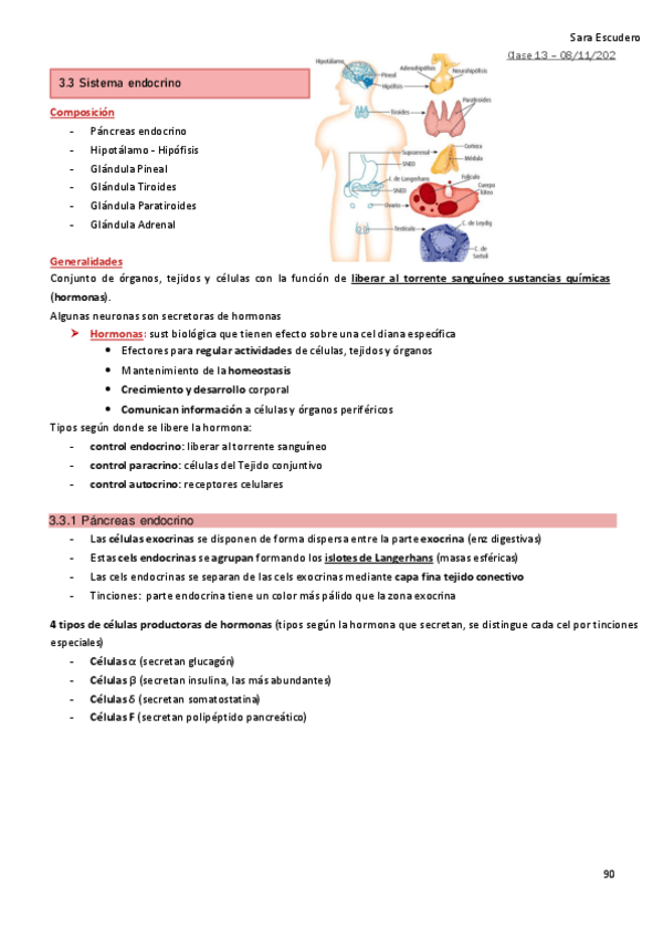 Miniatura del documento 3.3-Sist-endocrino.pdf