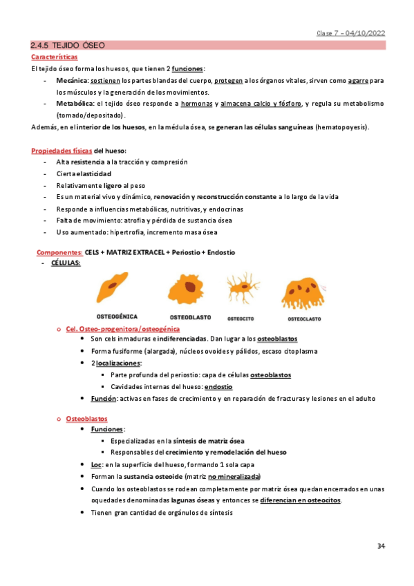 Miniatura del documento 2.5-Tejido-oseo.pdf