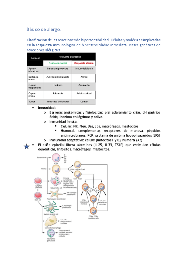 Miniatura del documento Basico-de-alergo.pdf