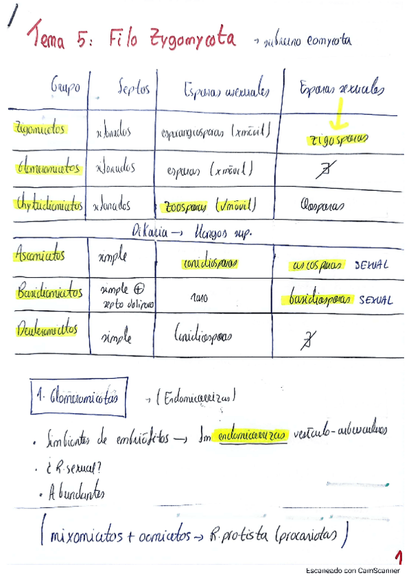 Miniatura del documento Tema-5-y-6-Filo-Zygomycota-y-simbiosis-fungicas.pdf