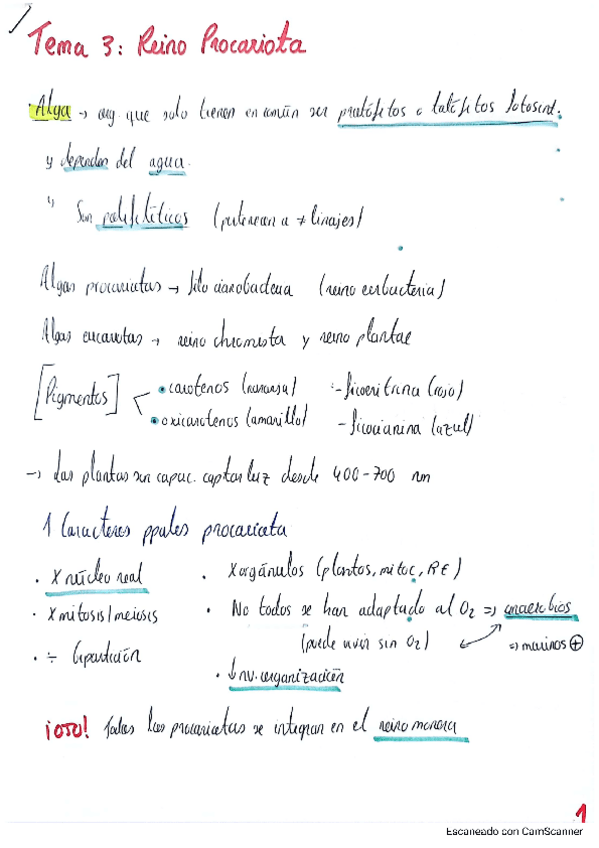 Miniatura del documento Tema-3-Reino-Procariota.pdf