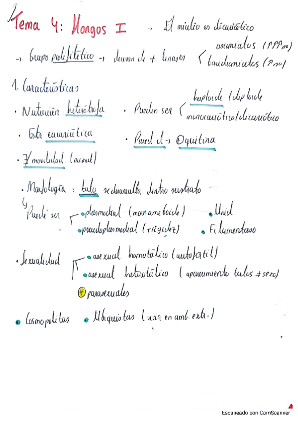 Miniatura del documento Tema-4-Hongos.pdf