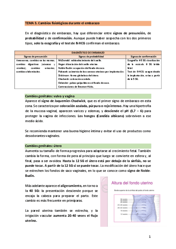 Miniatura del documento TEMA-3.-FisioEmbarazo.pdf
