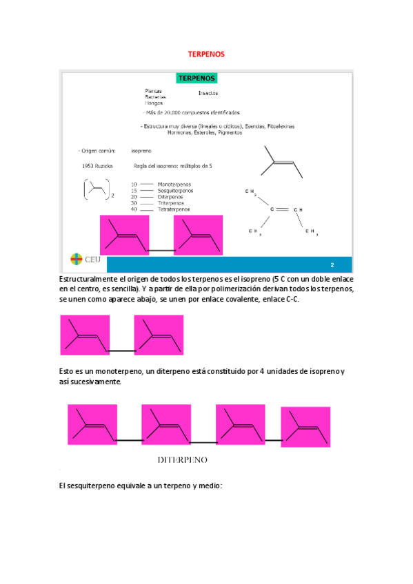 Miniatura del documento Apuntes-segundo-parcial-farmacognosia.pdf