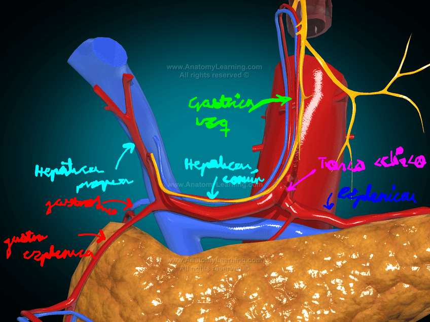 Miniatura del documento IMG2382.png