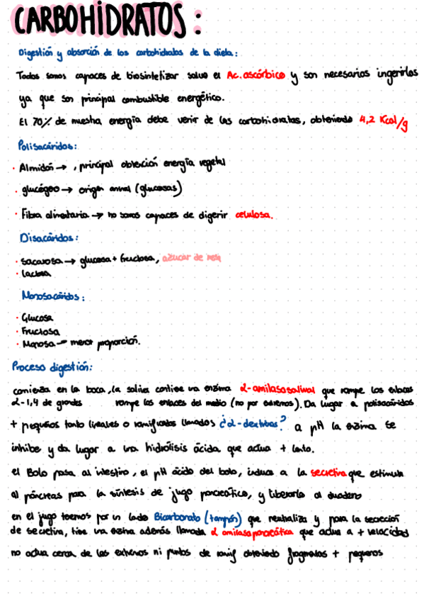 Miniatura del documento Metabolismo-Carbohidratos.pdf