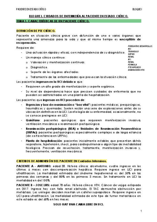 Miniatura del documento CRITICOS-ENTERO--P.EX.pdf