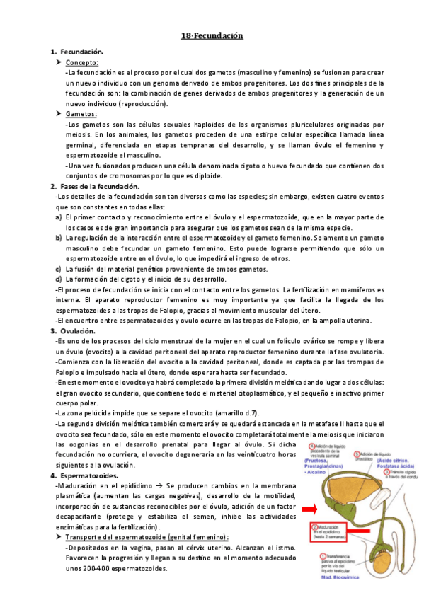 Miniatura del documento 18-Fecundacion.pdf