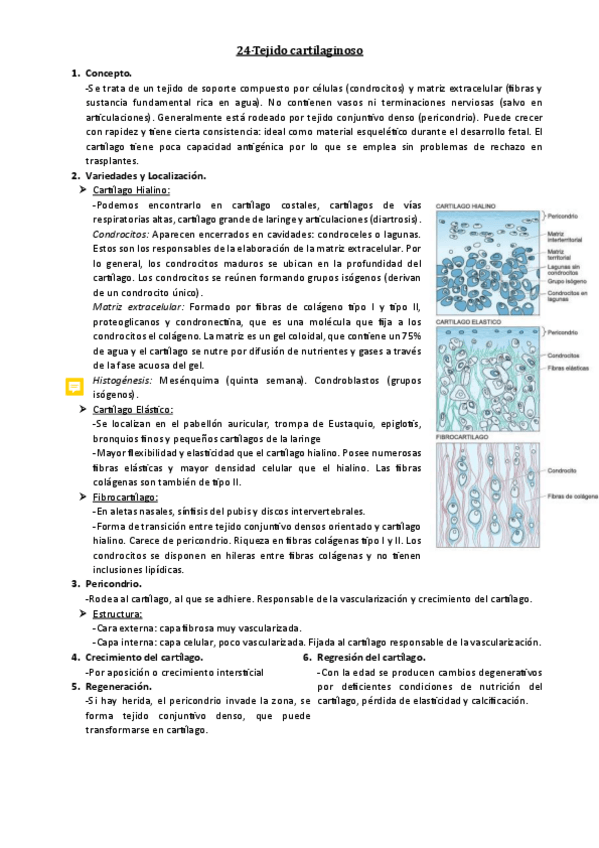 Miniatura del documento 24-Tejido-cartilaginoso.pdf